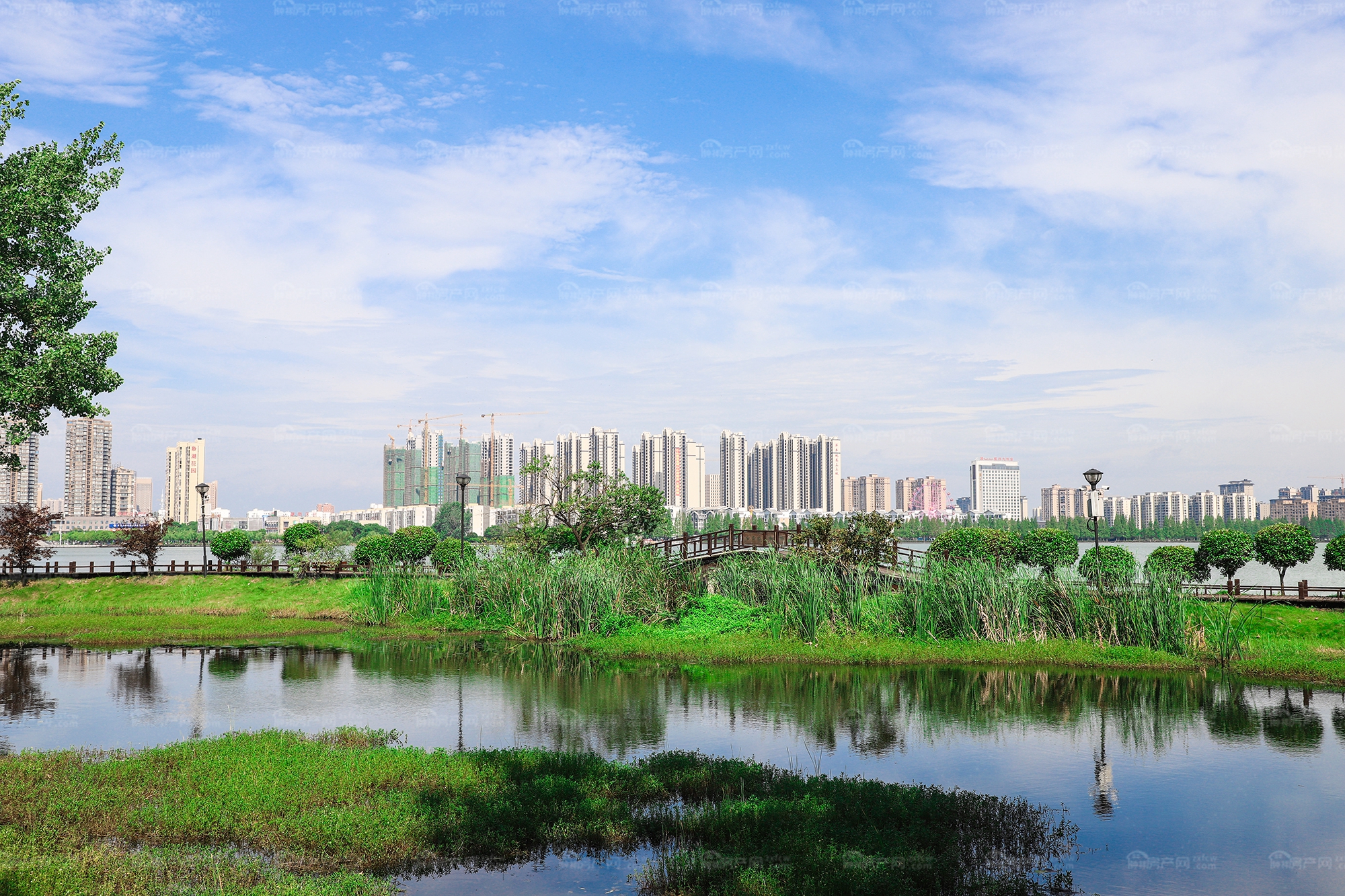炎炎夏日，在钟祥有一种避暑方式叫做“住在湖边”！
