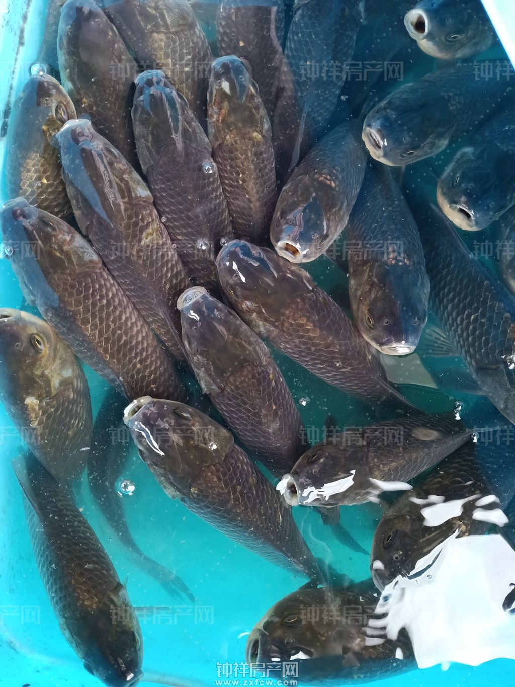 悦享美好亲子时光